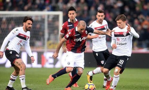 维罗纳队上演逆转好戏,惊险获胜!的简单介绍 维罗纳队上演逆转好戏,惊险获胜!的简单介绍